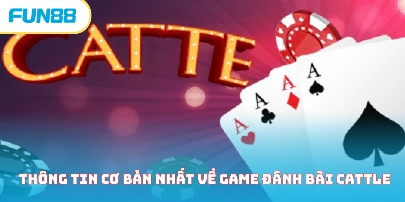Thông tin cơ bản nhất về game đánh bài Cattle 